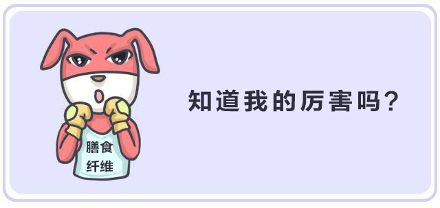 纖維時代，未來已來